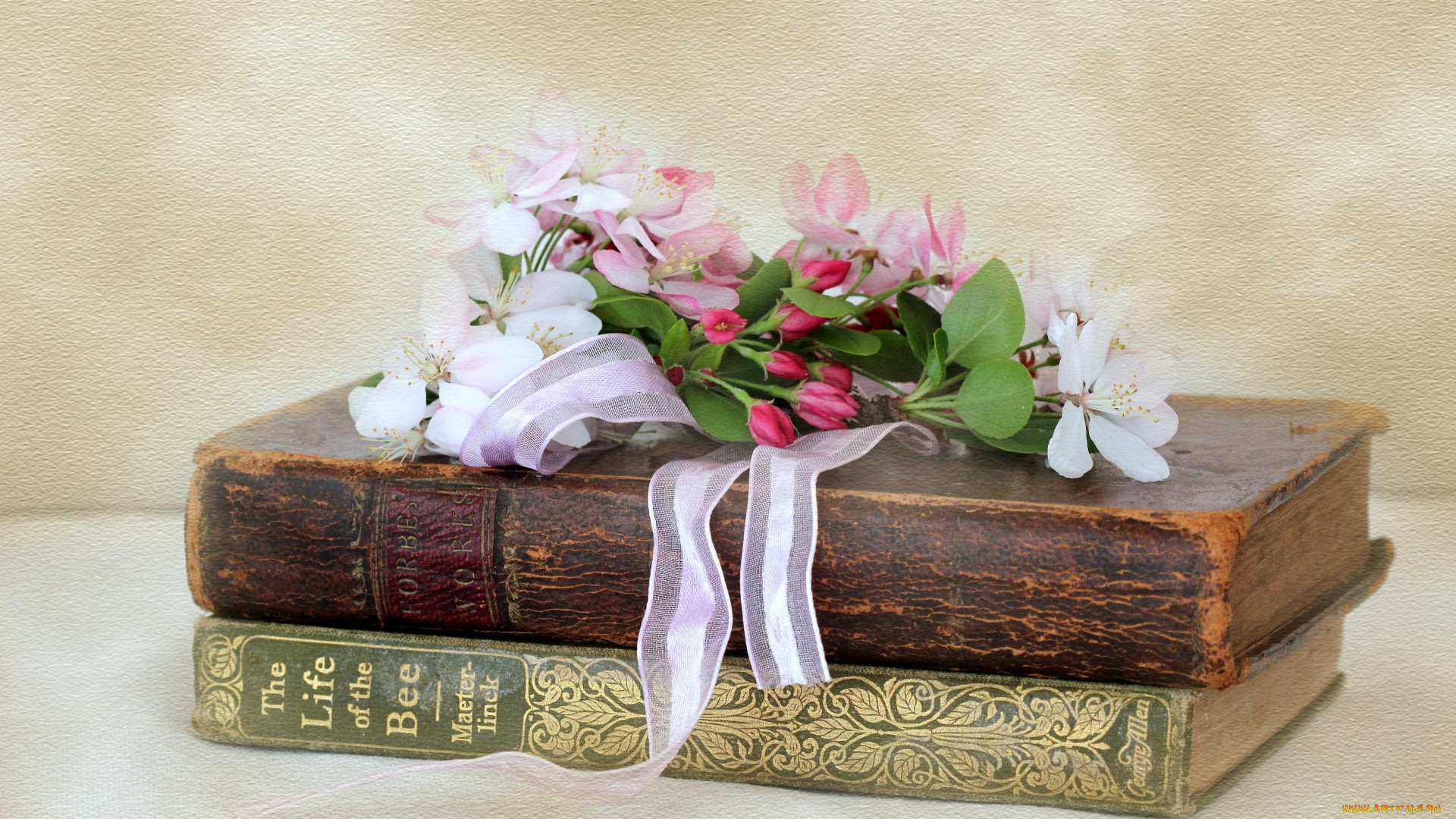 Книга цвет жизни. Книга цветы. Обои на рабочий стол книги. Композиция книги. Книжные цветы.